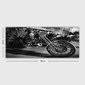 Reprodukcija Motociklas kaina ir informacija | Reprodukcijos, paveikslai | pigu.lt