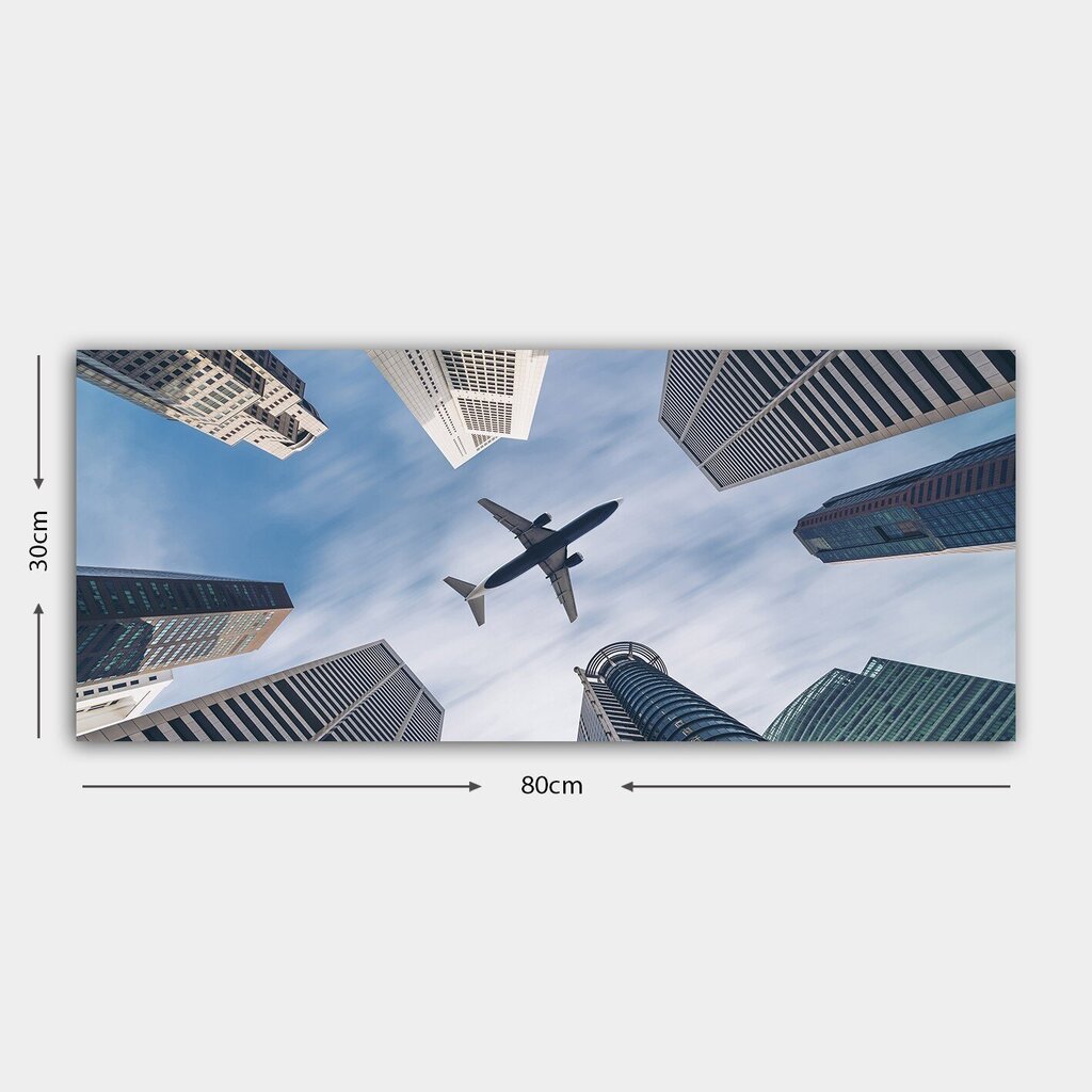 Reprodukcija ant drobės Lėktuvas, 30x80 cm kaina ir informacija | Reprodukcijos, paveikslai | pigu.lt