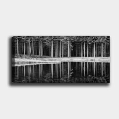 Reprodukcija ant drobės Miškas prie ežero, 30x80 cm kaina ir informacija | Reprodukcijos, paveikslai | pigu.lt