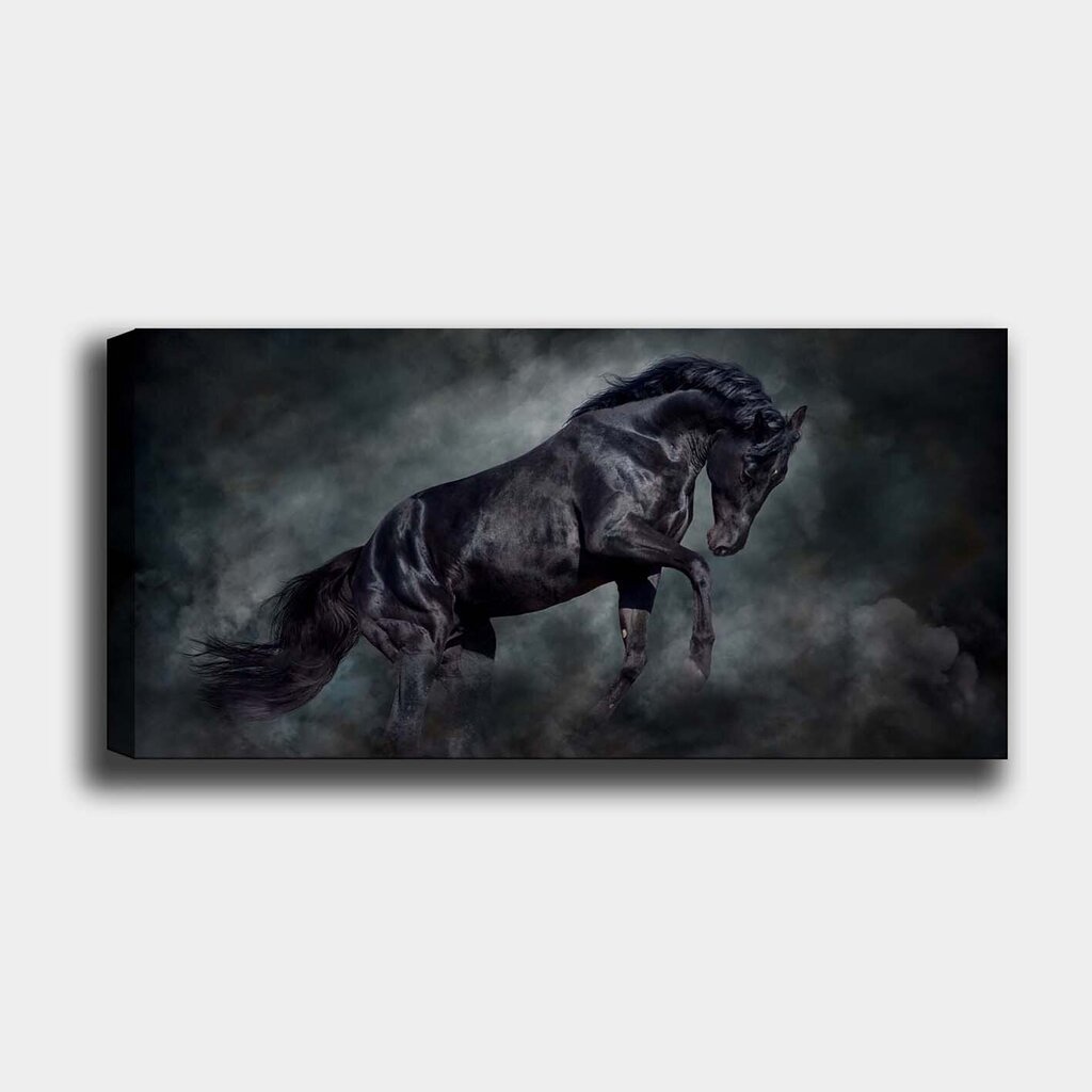 Reprodukcija ant drobės Žirgas, 30x80 cm kaina ir informacija | Reprodukcijos, paveikslai | pigu.lt