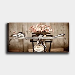 Репродукция на холсте Велосипед, 30x80 см цена и информация | Репродукции, картины | pigu.lt