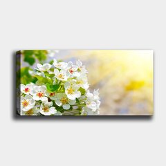 Reprodukcija ant drobės Gėlės, 30x80 cm kaina ir informacija | Reprodukcijos, paveikslai | pigu.lt