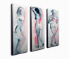 Trijų dalių reprodukcija Nuogos moters siluetas цена и информация | Reprodukcijos, paveikslai | pigu.lt