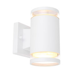 Уличный светильник Globo Lighting ALCALA 32063-2W цена и информация | Уличные светильники | pigu.lt