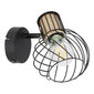 Globo Lighting šviestuvas Luise 54012-1S kaina ir informacija | Sieniniai šviestuvai | pigu.lt