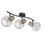 Globo Lighting šviestuvas Luise 54012-3DS цена и информация | Lubiniai šviestuvai | pigu.lt