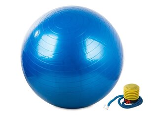 Gimnastikos kamuolys, 75 cm kaina ir informacija | Gimnastikos kamuoliai | pigu.lt