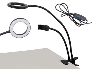LED stalinė lempa su laikikliu telefonui VRK2201 kaina ir informacija | Staliniai šviestuvai | pigu.lt