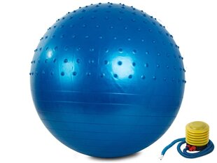 Kamuolys treniruotėms, 65 cm kaina ir informacija | Gimnastikos kamuoliai | pigu.lt