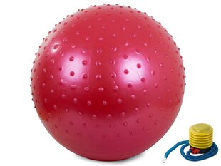 Fitneso pripučiamas kamuolys, 55 cm kaina ir informacija | Gimnastikos kamuoliai | pigu.lt