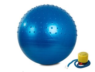 Fitneso kamuolys, 55 cm kaina ir informacija | Gimnastikos kamuoliai | pigu.lt