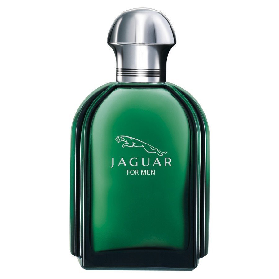 Tualetinis vanduo Jaguar Jaguar for Men EDT vyrams 100 ml цена и информация | Kvepalai vyrams | pigu.lt