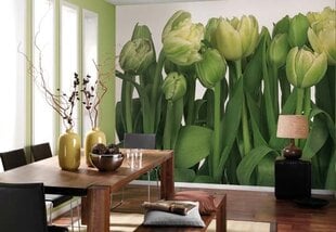 Фотообои Tulips цена и информация | Фотообои | pigu.lt