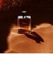 Tualetinis vanduo Hermes Terre d'Hermes EDT vyrams 50 ml цена и информация | Kvepalai vyrams | pigu.lt