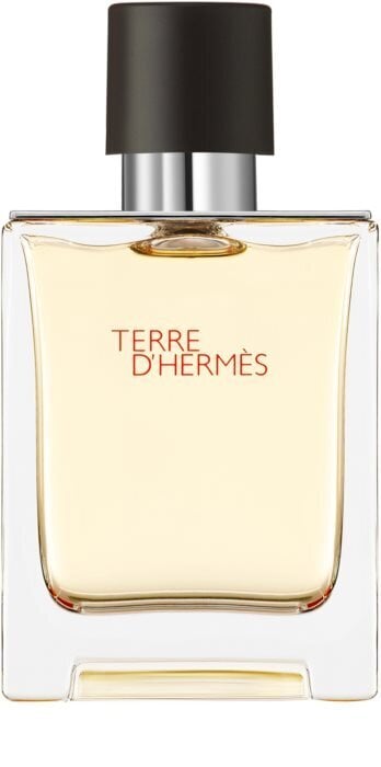 Tualetinis vanduo Hermes Terre d'Hermes EDT vyrams 50 ml цена и информация | Kvepalai vyrams | pigu.lt