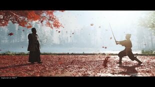 Ghost of Tsushima: Director’s Cut, PS5 kaina ir informacija | Sucker Punch Kompiuterinė technika | pigu.lt