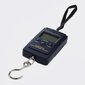 Portable Scales LVBASVA8 kaina ir informacija | Svarstyklės (buitinės) | pigu.lt