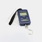 Portable Scales LVBASVA8 kaina ir informacija | Svarstyklės (buitinės) | pigu.lt