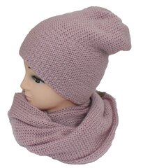 Комплект шапка и шарф цена и информация | Женские шапки | pigu.lt