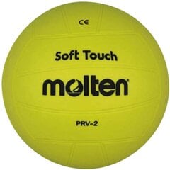 Софтбол PRV-1, резина, 205г., D 205мм, розовый цена и информация | Волейбольные мячи | pigu.lt