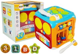 Многофункциональный развивающий куб с молотком цена и информация | Игрушки для малышей | pigu.lt