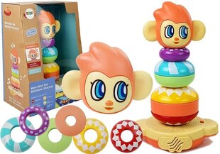 Piramidė Beždžionėlė Lean toys Mon Mon the Rainbow Stacker kaina ir informacija | Žaislai kūdikiams | pigu.lt