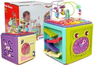 Тренировочный куб цена и информация | Игрушки для малышей | pigu.lt