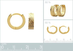 Серьги с золотым покрытием 750°,  произведено во Франции цена и информация | Серьги | pigu.lt