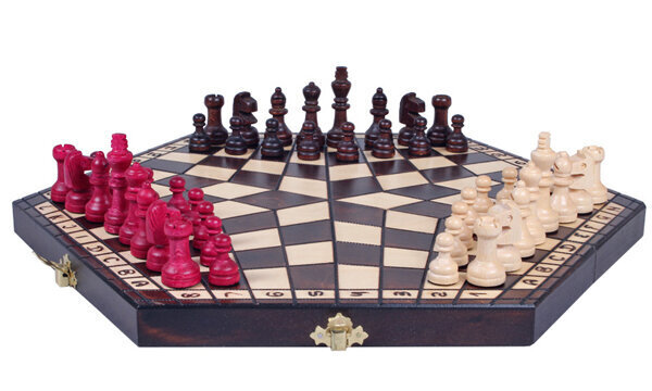 Šachmatai trims, vidutiniai, 8 m.+ kaina ir informacija | Stalo žaidimai, galvosūkiai | pigu.lt