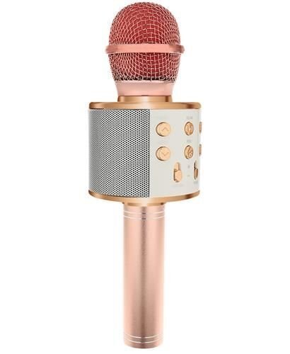 Karaokė mikrofonas - kolonėlė su balso keitimo efektais kaina ir informacija | Lavinamieji žaislai | pigu.lt