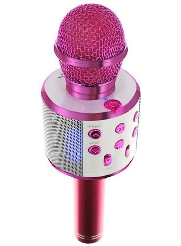 Karaokė mikrofonas - kolonėlė su balso keitimo efektais kaina | pigu.lt