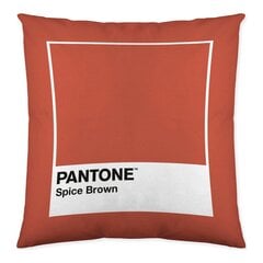 Pantone pagalvėlės užvalkalas kaina ir informacija | Dekoratyvinės pagalvėlės ir užvalkalai | pigu.lt