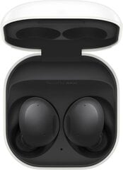 Samsung Galaxy Buds 2 SM-R177NZKAEUD kaina ir informacija | Ausinės | pigu.lt