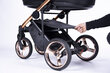 Universalus vežimėlis 3in1 Coletto Fado Gold, FA-08 kaina ir informacija | Vežimėliai | pigu.lt