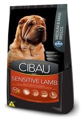 Farmina Pet Food Sensitive Medium & Maxi su ėriena, 14 kg kaina ir informacija | Sausas maistas šunims | pigu.lt