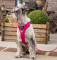 Dog Copenhagen petnešos Comfort Walk Pro M rožinės цена и информация | Antkakliai, petnešos šunims | pigu.lt