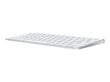 Apple Magic Keyboard - Swedish - MK2A3S/A kaina ir informacija | Klaviatūros | pigu.lt