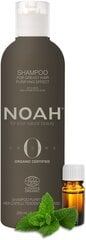 Шампунь для жирных волос Origins Noah, 250 мл цена и информация | Шампуни | pigu.lt