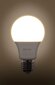 Elektros lemputės LED Retlux A60, 2x12W, E27, 2 vnt. цена и информация | Elektros lemputės | pigu.lt