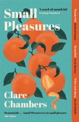 Small Pleasures: Longlisted for the Women's Prize for Fiction 2021 цена и информация | Романы | pigu.lt