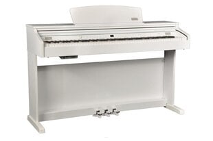 Artesia DP-3+ 88-клавишное электрическое пианино (белое) цена и информация | Клавишные музыкальные инструменты | pigu.lt