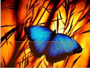 Deimantinės mozaikos rinkinys Mėlynas drugelis kaina ir informacija | Deimantinės mozaikos | pigu.lt