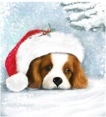 Deimantinės mozaikos rinkinys Raganų šuniukas Kalėdų Senelio skrybėlėje kaina ir informacija | Deimantinės mozaikos | pigu.lt