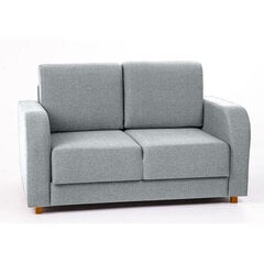 Sofa-lova Aada 2S, šviesiai pilka kaina ir informacija | Sofos | pigu.lt