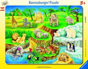 Dėlionė Ravensburger Gyvūnija, 14 d. kaina ir informacija | Dėlionės (puzzle) | pigu.lt