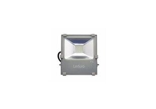 Прожектор Leduro 46521S 20W цена и информация | Фонарики, прожекторы | pigu.lt
