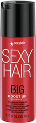 Объем шампунь Sexy Hair Big Boost Up Volume, 50 мл цена и информация | Шампуни | pigu.lt