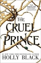 Cruel Prince цена и информация | Романы | pigu.lt