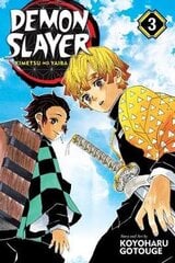 Demon Slayer: Kimetsu no Yaiba, Vol. 3: Believe in Yourself цена и информация | Романы | pigu.lt