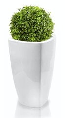 Керамический цветочный горшок Mood, квадратный, белый, 38 х 61 (А) см цена и информация | Горшки | pigu.lt